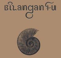 Bilangan Fu